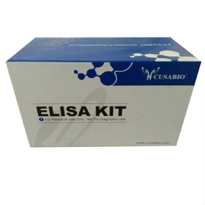 人糖类抗原19-9(CA19-9)ELISA kit
